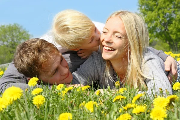 Mother, Father and Child Hugging and Kissing in Flower Meadow