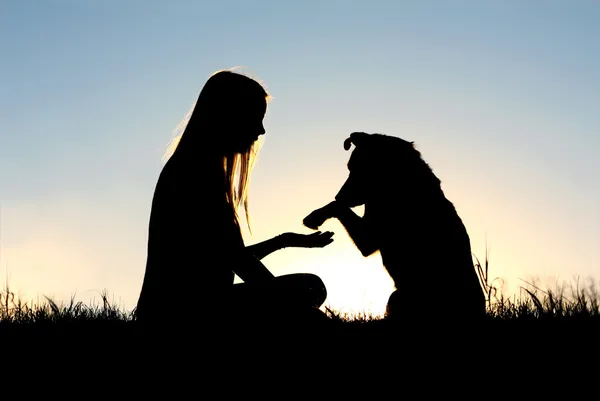 Woman and Her Dog Shaking Hands Silhouette