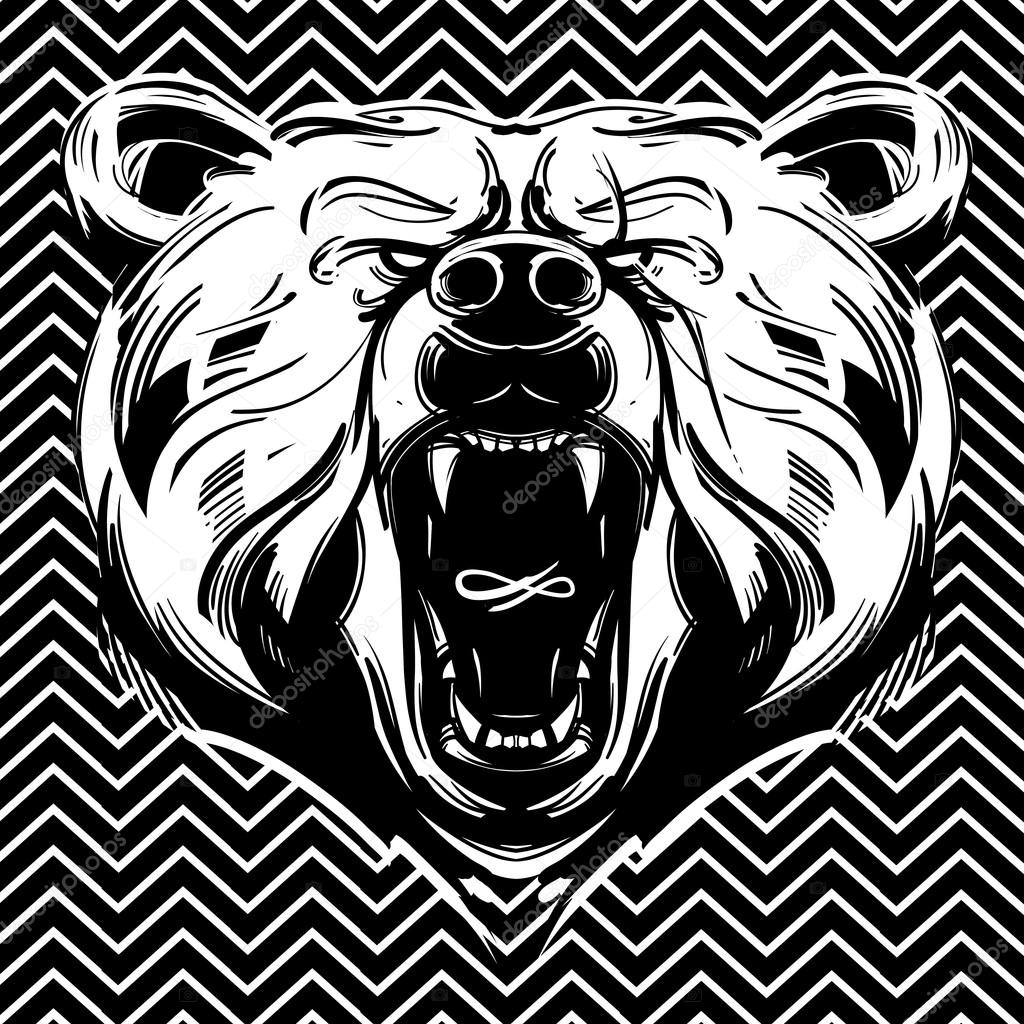 Bear face — Stock Vector © rocksnicker #26929737