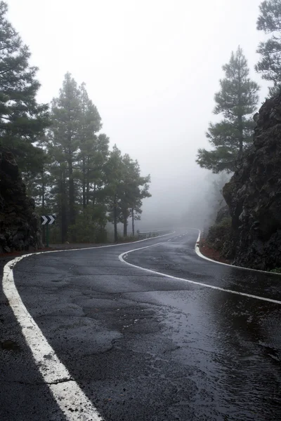 Mountain road in the fog on Tenerife