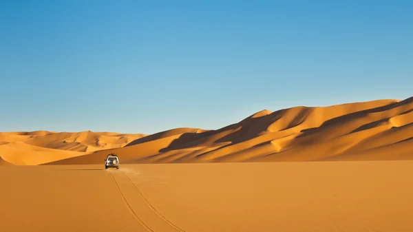 Sahara Desert Safari