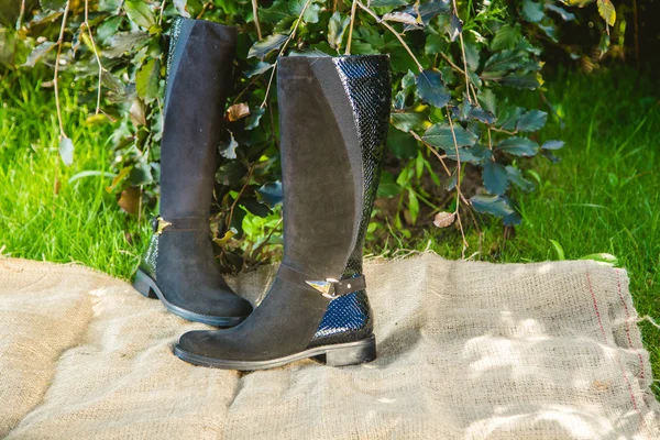Black suede boots in autumn garden, women\'s shoes