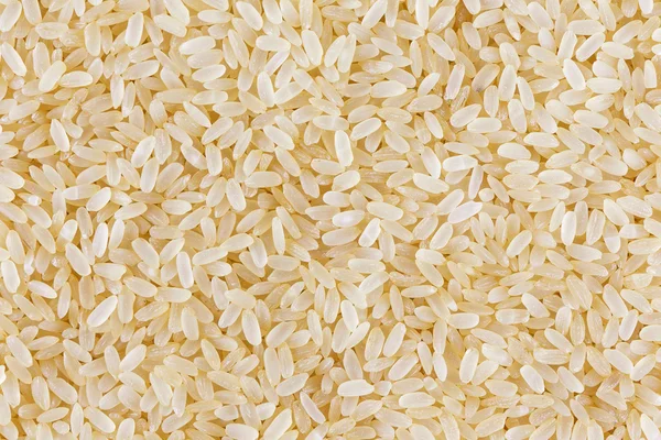 Top view rice