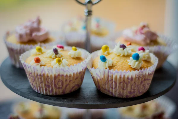 Cake and cupcakes