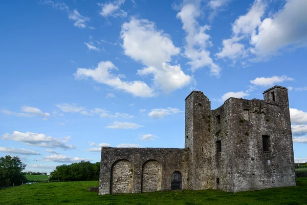 Ancient castle ruin in Ireland