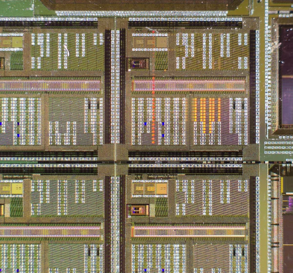 Silicon wafer with printed electronic circuit compared to a niddle