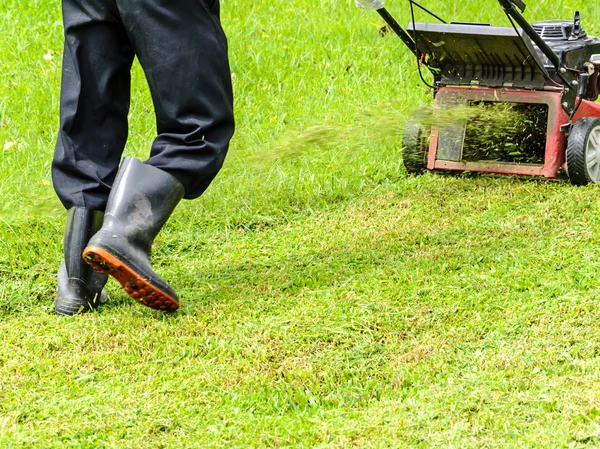 Worker mowing grass