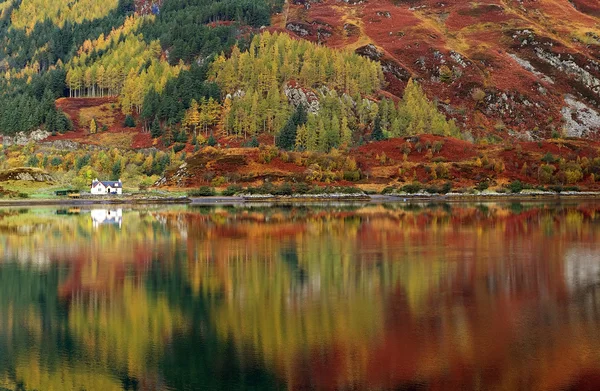 Autumn colours in Highlands