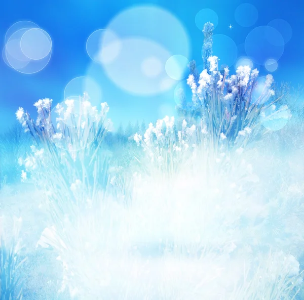 Winter abstract blur background, natural blue wintertime backgro