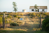 dp-26935381