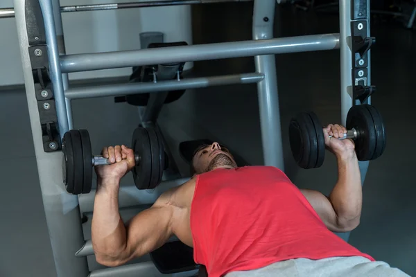 Workout Bench Dumbbell Training