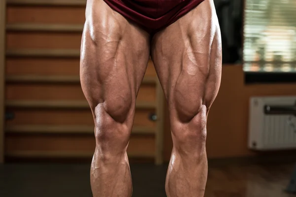 Close-Up of Bodybuilders Legs Ready For Competitive Sport