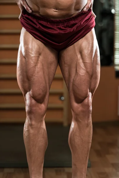 Close-Up of Bodybuilders Legs Ready For Competitive Sport