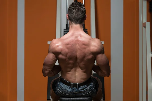 Young Male Doing Back Exercises In The Gym