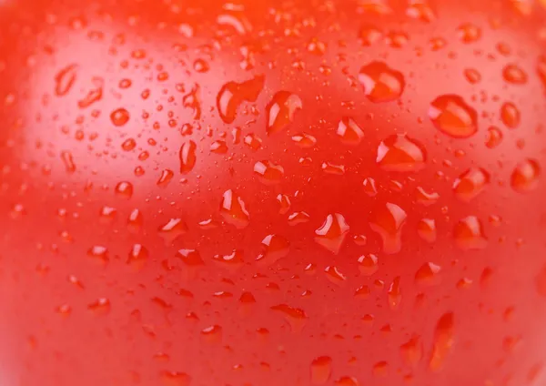 Water drops on red tomato. Close up.