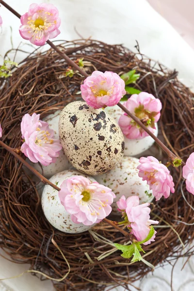 Little easter nest with quail eggs