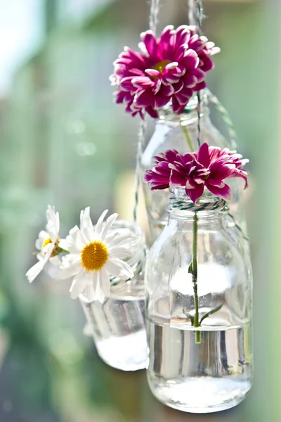 Fresh flowers in little bottles