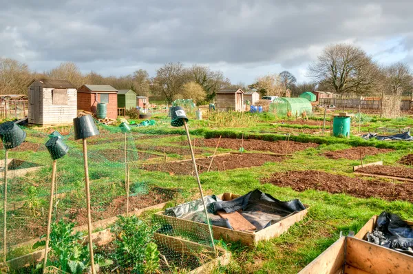 Vegetable allotments