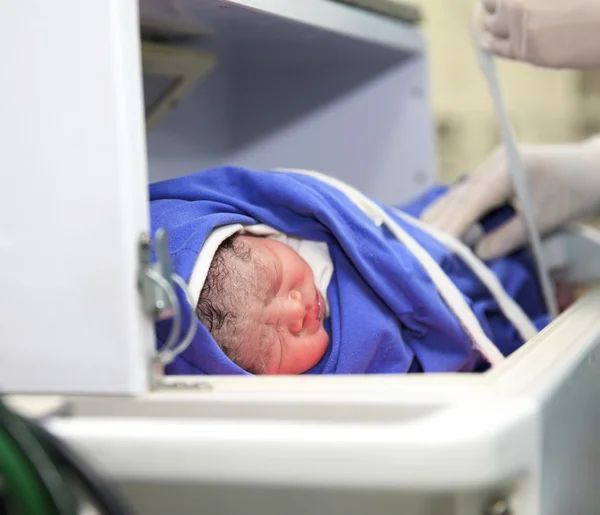 Cute newborn baby in incubator in hospital