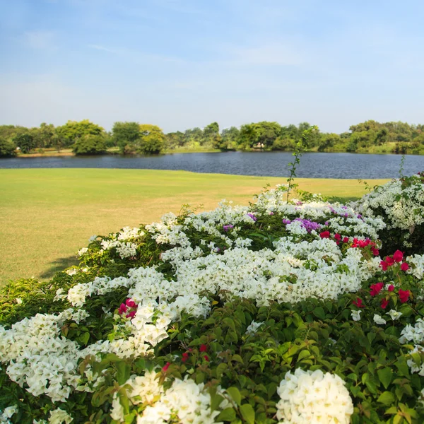 Flowers on beautiful golf course