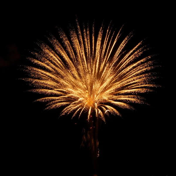 Golden orange amazing fireworks isolated in dark background close up with the place for text, Malta fireworks festival, 4 of July, Independence day, explode