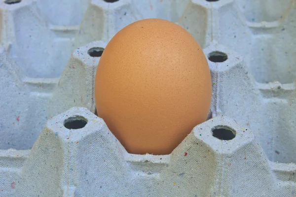 Eggs in egg tray