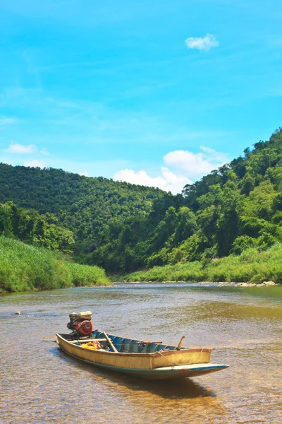 River in evergreen forest with boat