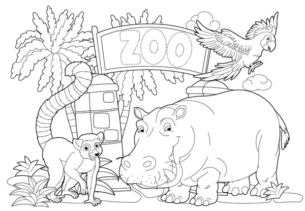 The zoo