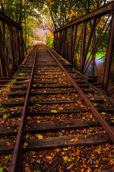 Autumn leaves on a railroad bridge in York County, Pennsylvania.