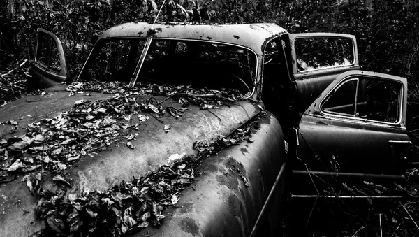 Black and white image of a rusty, abandoned car covered in falle