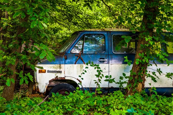 Abandoned old van in the woods.