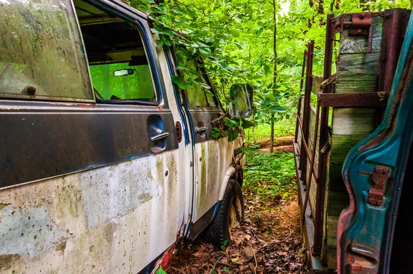 Abandoned van in the woods.