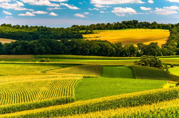 Corn fields and rolling hills in rural York County, Pennsylvania