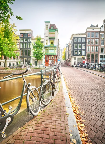 An empty street in Amsterdam