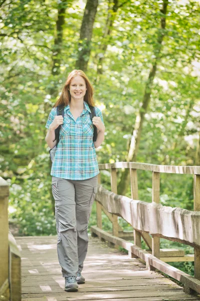 Explore - Woman Hiking in a Forest