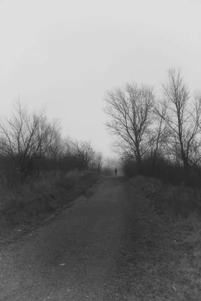 Lonely man walking in the park