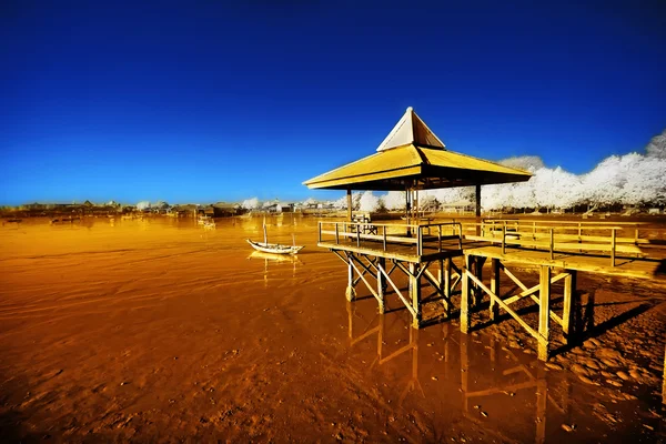 Wooden pier and wrecked boat at receding shore