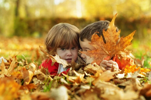 Children in autumn park