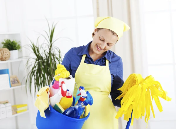 Cheerful woman holding cleaning equipment