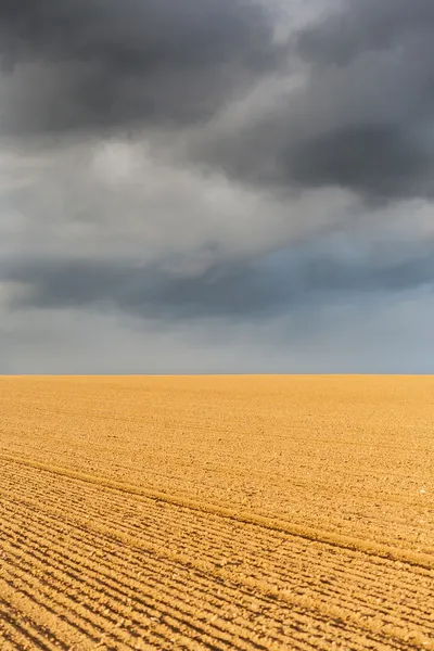 Agricultural landscape.