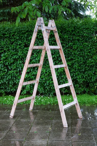 Wooden ladder on the backyard