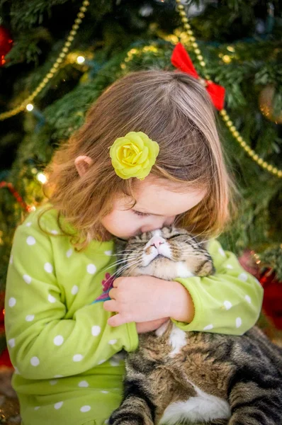 Cute baby girl in green dress is kissing a cat near christmas tree