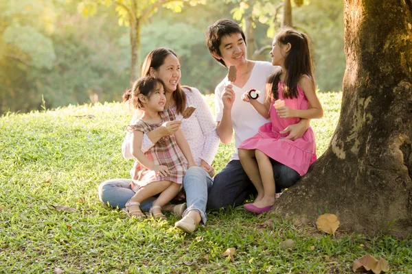 Happy Asian family with icecream in park