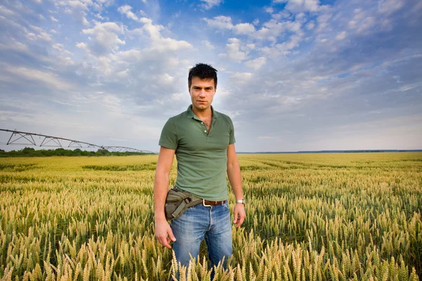Attractive man in barley field