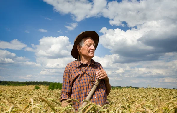 Worker in barley field