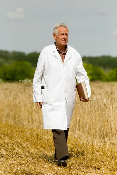 Agronomist on wheat field