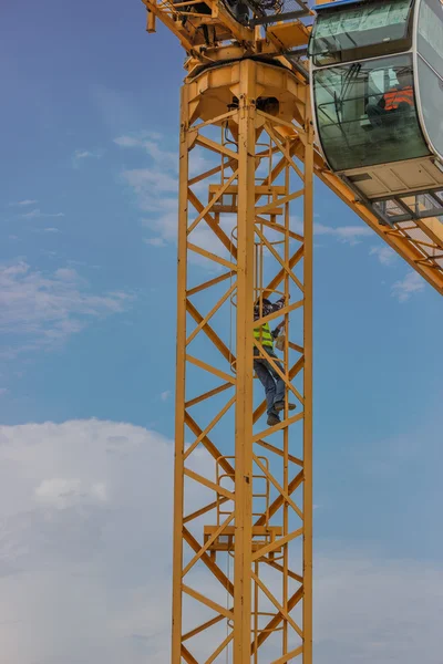 Colleagues carrying healthy lunch to crane operator