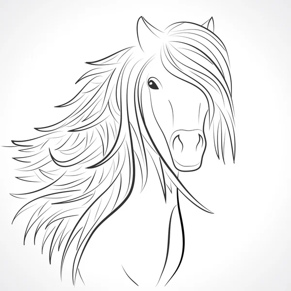 Sketch of horse head with mane on white. Vector