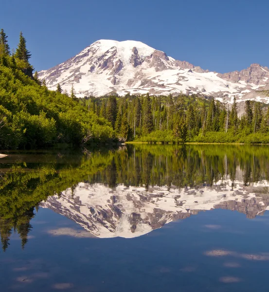 Mirror like reflection in bench lake