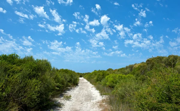 Road and sky